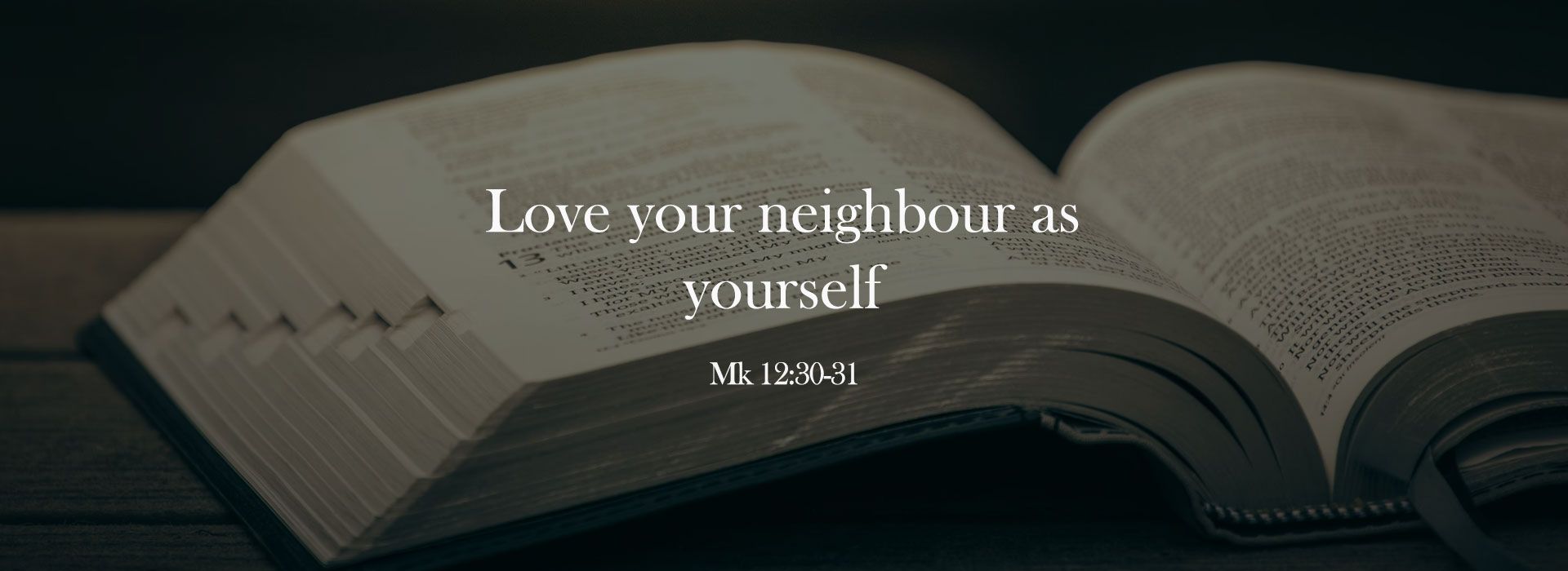 Love your neighbour