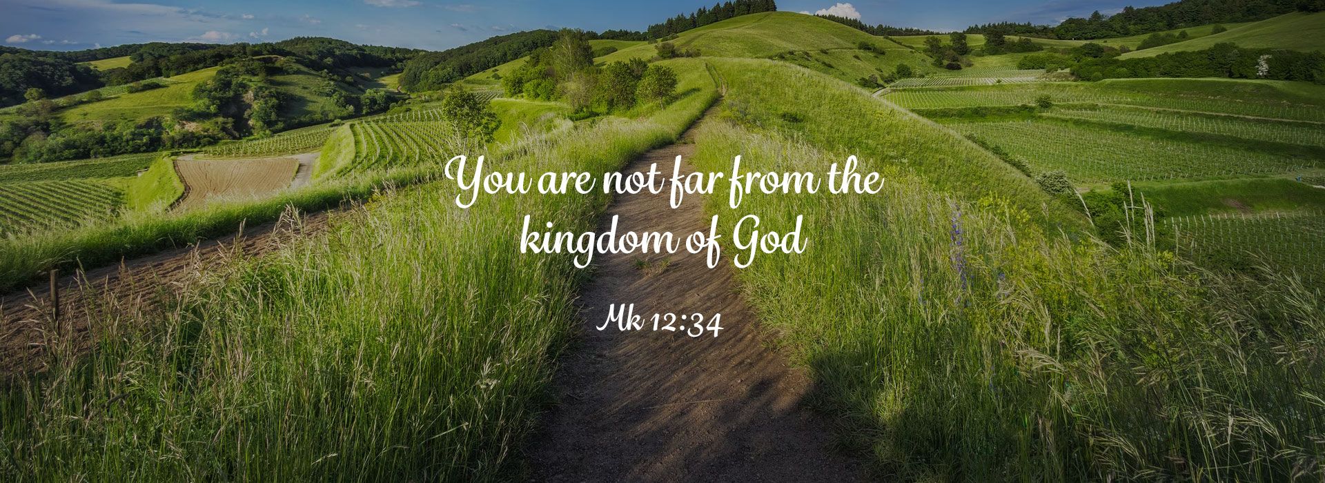 You are not far from the kingdom of God