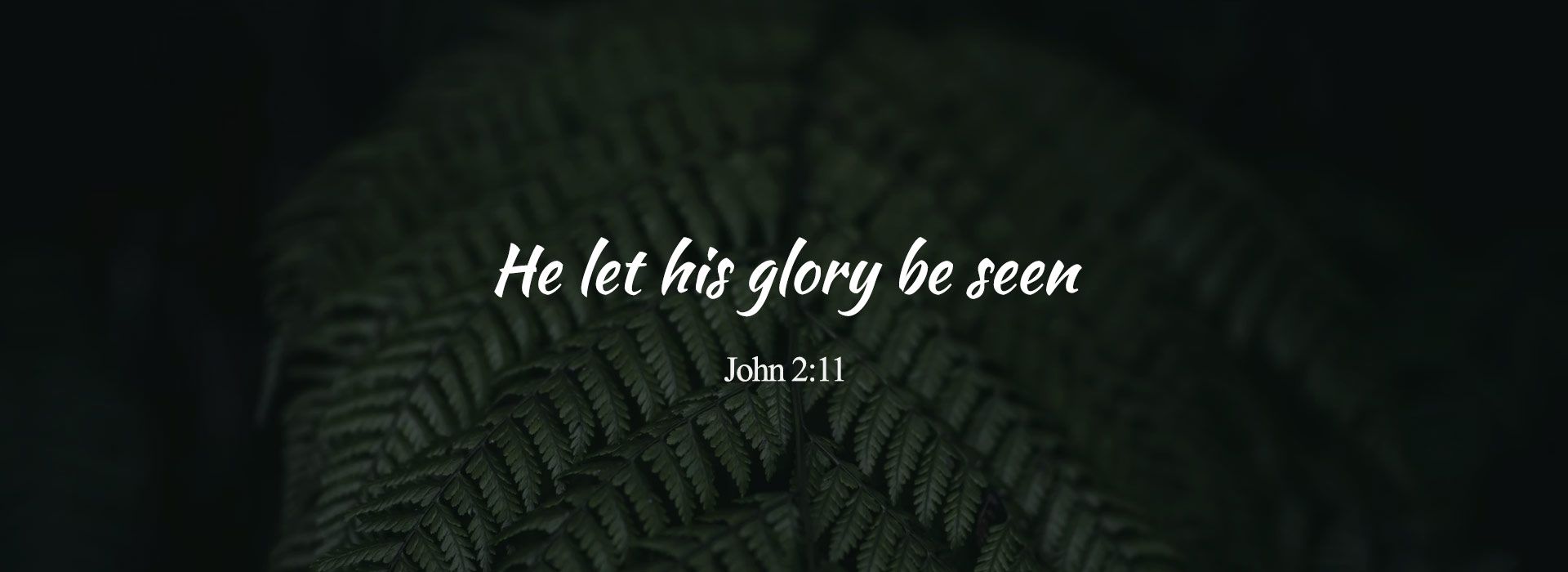 Let his Glory be seen