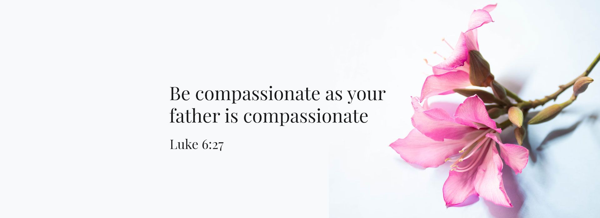 Be Compassionate Luke: 6:27